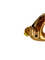 Casa Pearla Earrings
