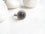 Sultanzadeh Black 925 Silver Ring